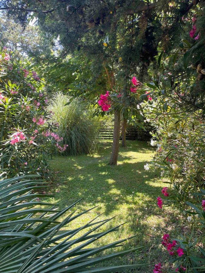 Gites Au Chateau Des Estubiers Les Granges-Gontardes Buitenkant foto